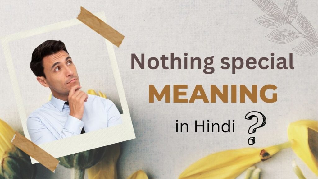 Nothing special meaning in Hindi