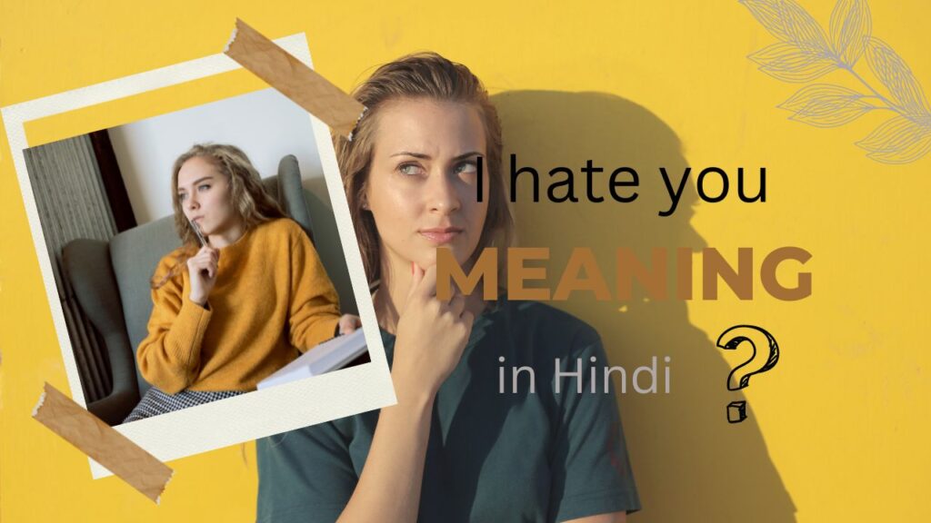 I hate you meaning in Hindi