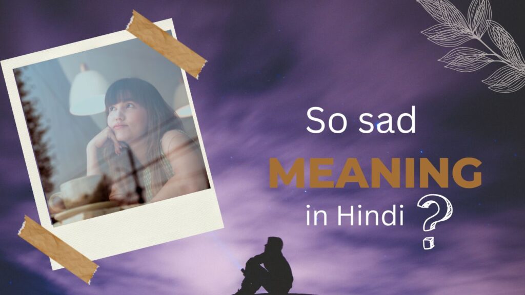 So sad meaning in Hindi